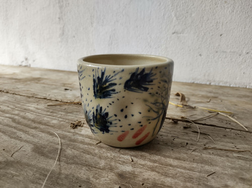 Kalíšek Divočina — foto 2