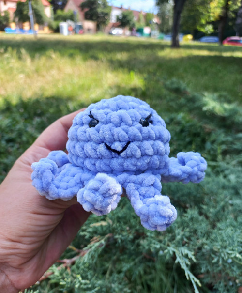 Háčkovaná chobotnička — foto 5