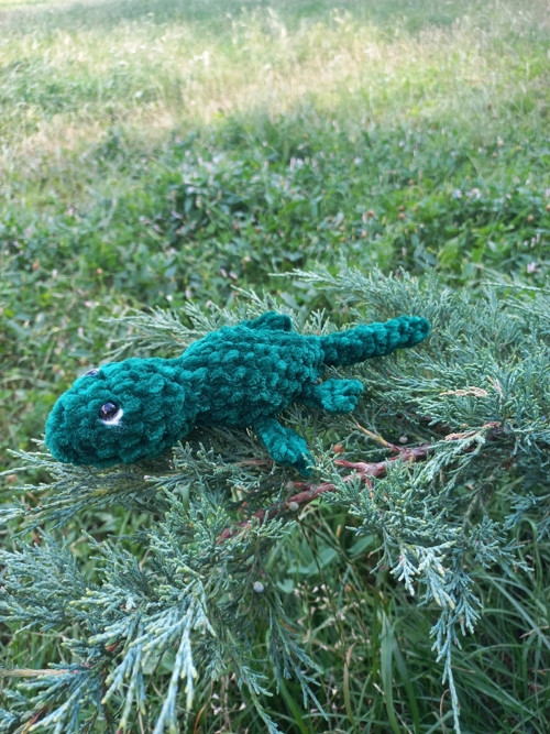 Háčkovaná ještěrka — foto 2