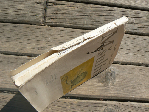 Myšulín - Radovan Krátký — foto 2