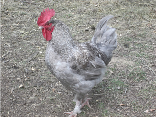 FOTA : Víkend na chatě ... Varianty ... — foto 5