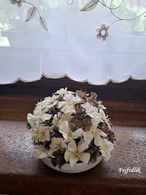 Prostě hvozdík ;-).. — foto 3