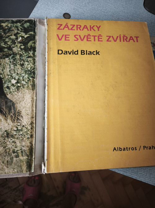 Staré dětské knížky — foto 2