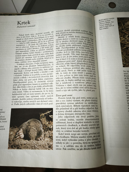 Staré dětské knížky — foto 3