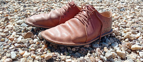 Polobotky na přání — foto 6