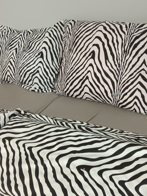 Povlečení zebra — foto 2