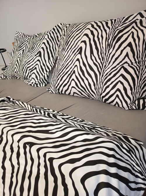 Zebra - metráž — foto 2