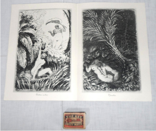 Grafický DVOJLIST • Max Švabinský, V pralese — foto 3