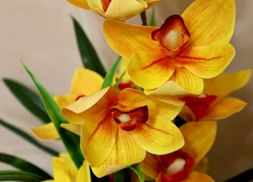 Zlaté cymbidium - umělá dekorace — foto 4