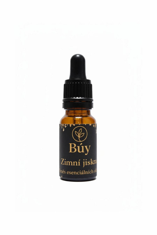 Zimní jiskra — foto 2