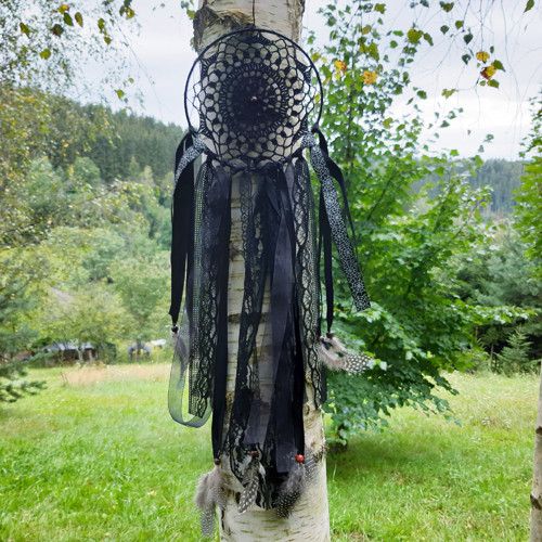 Černý lapač s pavučinkami — foto 4