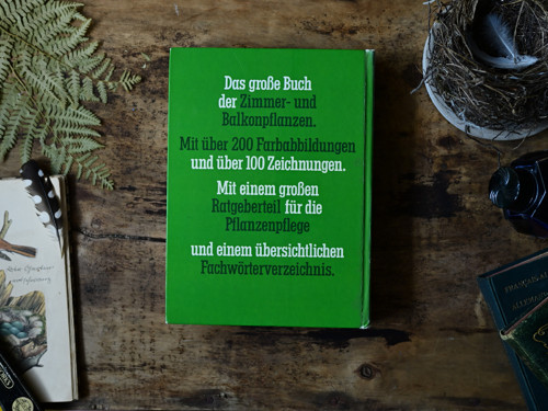 Zimmergarten - mixed media skicák — foto 2