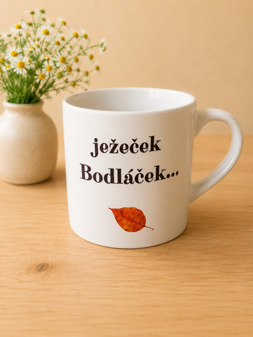 Ježeček Bodláček.. — foto 2