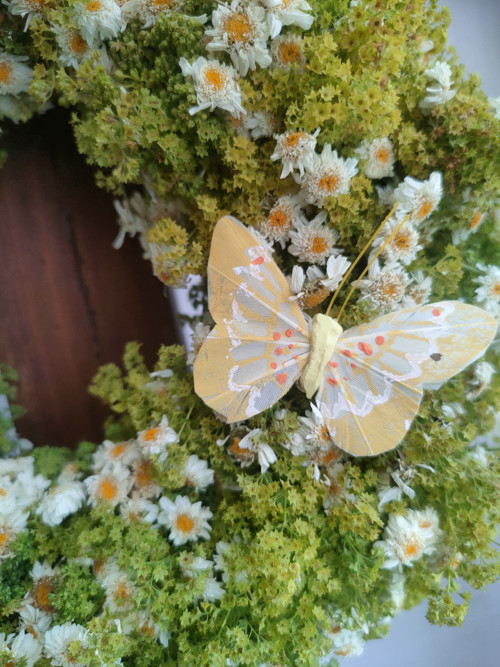Kontryhelovořimbabový věneček — foto 2