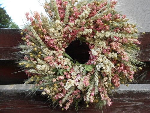 V růžových ostržkách — foto 2