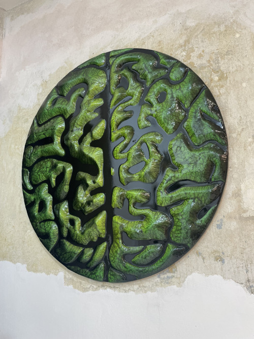Brain — foto 3