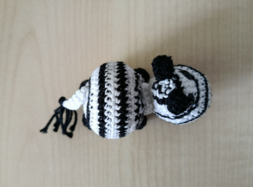 Háčkovaná zebra (Černobílý svět) — foto 2