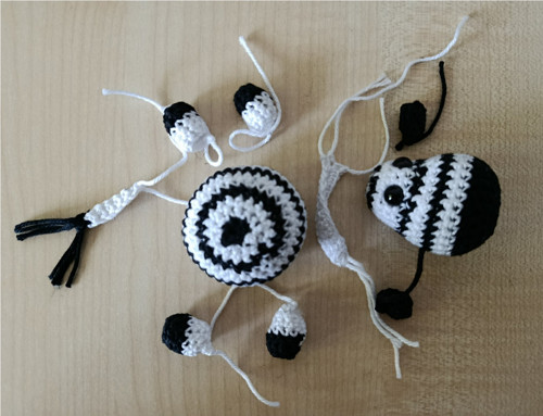 Háčkovaná zebra (Černobílý svět) — foto 5