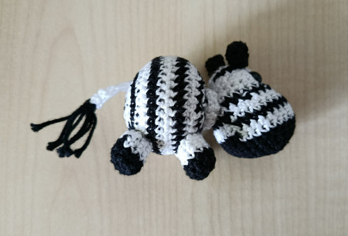 Háčkovaná zebra (Černobílý svět) — foto 3