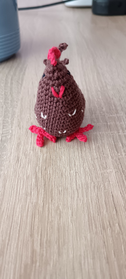 Háčkovaná slepička — foto 2