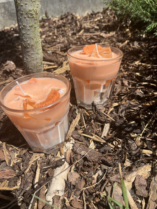Mandarinková limonáda z vosku — foto 2