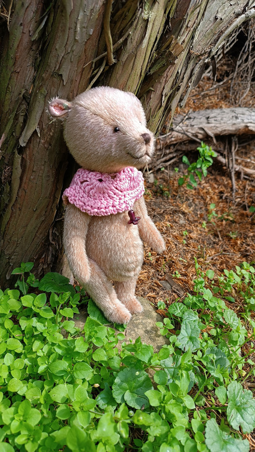 Madeline — foto 3