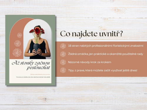 E-book: Základy moderní floristiky — foto 3