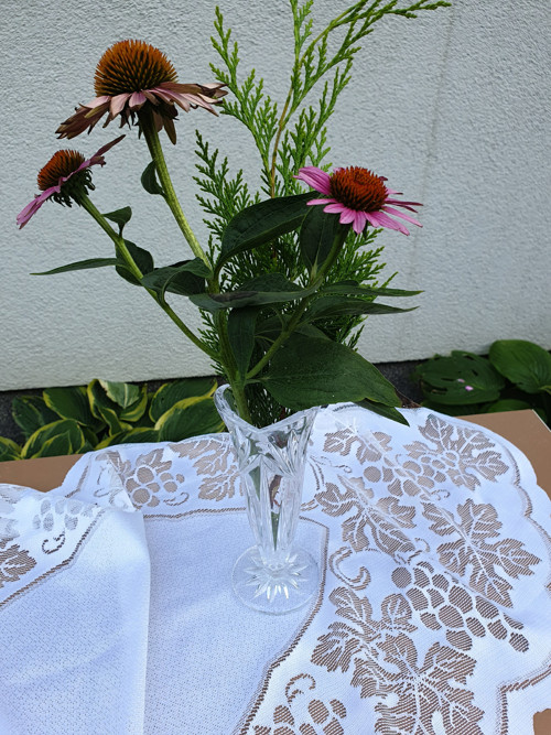 Tulipány na dlouhém stonku — foto 2