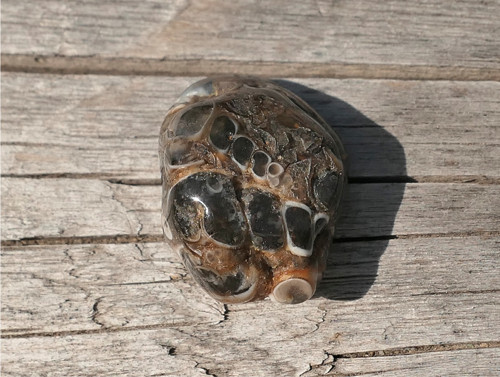 Turritella (20 mm) V4125 — foto 4