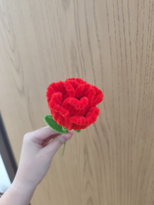 Red bloosom - červená růže — foto 2
