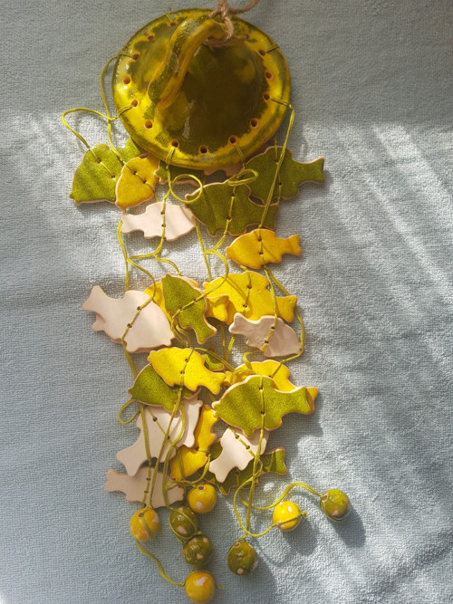 Cinkátko létající ryby — foto 5