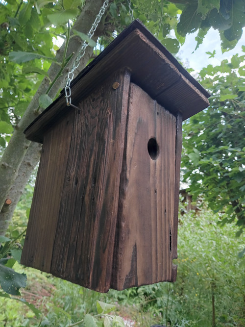 Ptačí budky — foto 2