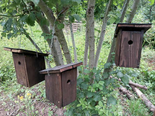 Ptačí budky — foto 4