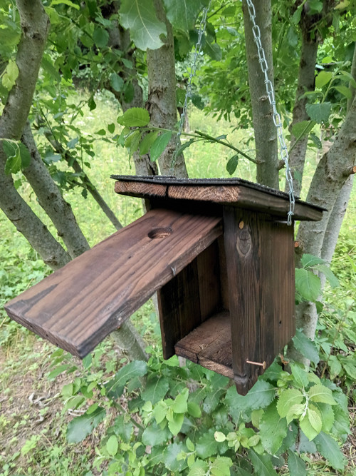 Ptačí budky — foto 3