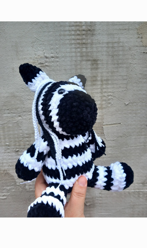 Zebra plyšová — foto 3