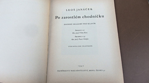 Po zarosrlém chodníčku — foto 2