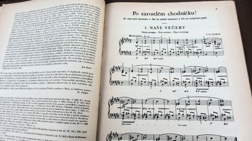 Po zarosrlém chodníčku — foto 3