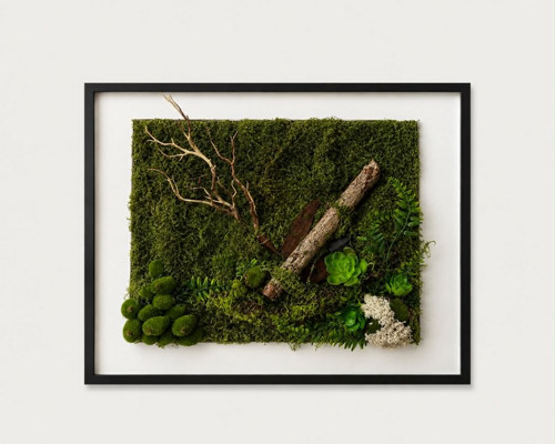 Srdce lesa 70x52cm — foto 3