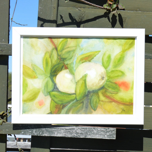 Akvarel - Jablíčka - 21 x 29 cm — foto 2