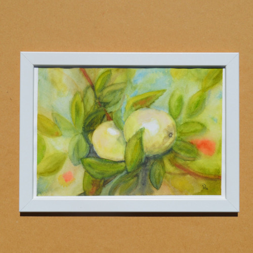 Akvarel - Jablíčka - 21 x 29 cm — foto 3