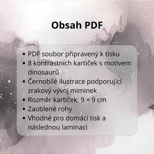 Kontrastní kartičky – Dinosauři | PDF — foto 3