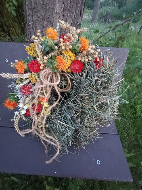 Kvítí na louce — foto 6