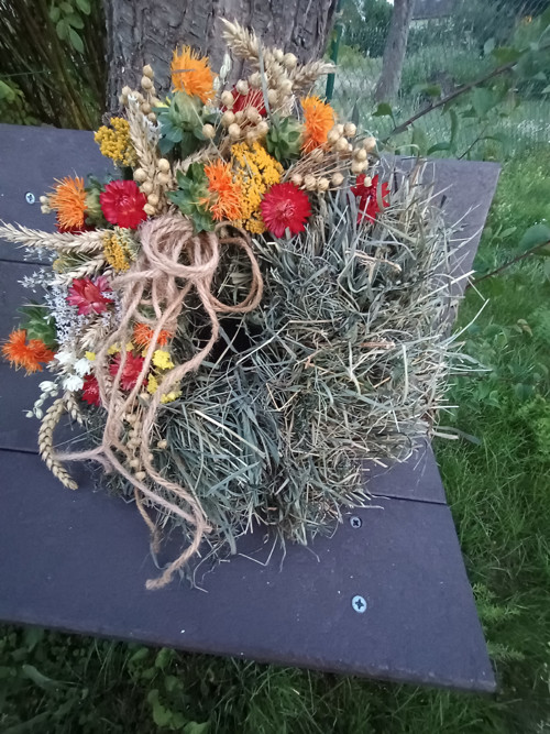 Kvítí na louce — foto 2