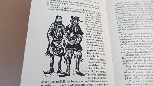Panna ve zbroji — foto 5