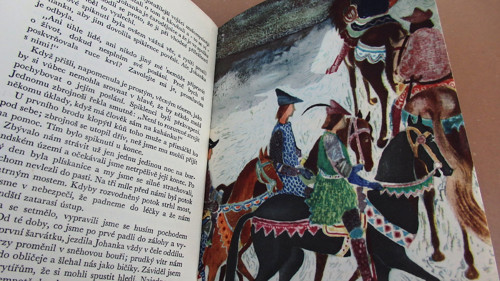 Panna ve zbroji — foto 4