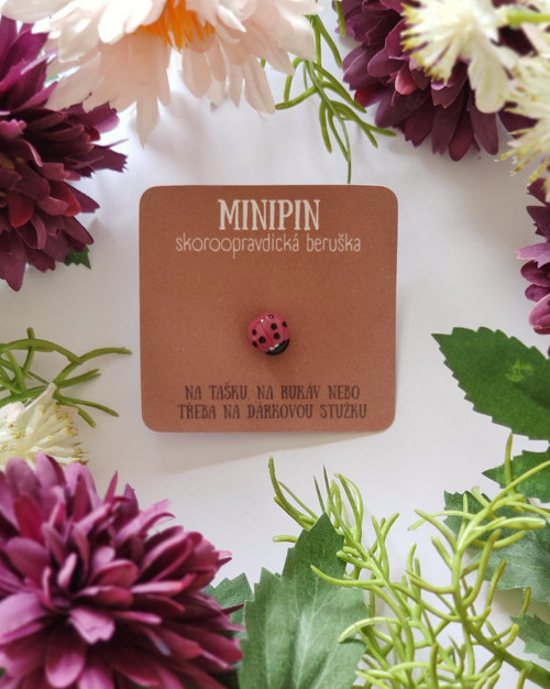 Purpurová skoroopravdická beruška | minipin — foto 3