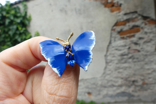 Modrásek...kovová brož, motýl — foto 3