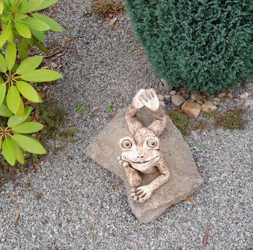 Žabák Pohodář — foto 4
