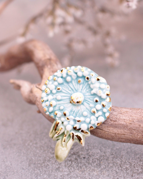 Pampeliška — foto 2