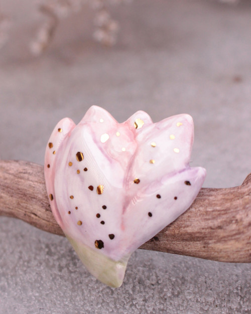 Magnolie — foto 3